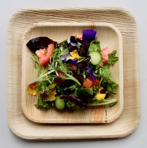 Platos Desechables Ecológicos Premium de Areca, Cuadrados de 10 Pulgadas, Resistentes, Biodegradables, Aptos para Microondas, con Diseño Novedoso para Exteriores - Product Image 1