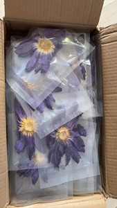 Té de Flor de Loto Orgánico <span class=keywords><strong>Azul</strong></span>, Flores Enteras Secas de Primera Calidad, Bolsa Individual, Estándar Europeo, Sueño Lúcido, Floración, Etiqueta Personalizada, Té para Dormir - Product Image 3