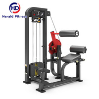 Equipo de Gimnasio Comercial para Entrenamiento de Fuerza y Culturismo: Máquina de Extensión de Espalda con Selector de Peso y Carga de Placas