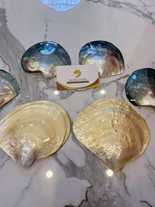Concha de Ostra Marina Pulida de Nácar Dorado Natural Grande de 11 CM para Exportación al por Mayor - Product Image 6