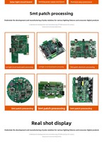 Merrillchip - Placa de Control PLC de Desarrollo Integrado con Microcomputadora Personalizada, Circuito MCPCBA, Software y Hardware de Programación PCBA