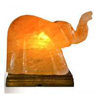 Lampe en sel rose de l'Himalaya, cristal de roche naturel, forme d'éléphant, sculptée à la main, lampe de nuit LED, lampe de table, décoration d'intérieur