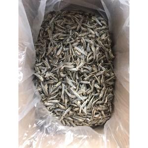 Anchois séchés à haute teneur en protéines Aliments secs pour la consommation humaine et les aliments pour animaux de compagnie - Product Image 6