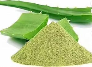 Polvo de Hoja de Aloe Vera, Ingrediente Natural de Belleza, Suministro a Granel, Polvo de Hoja de Aloe Vera Orgánico, Proveedor a Granel de Ingredientes Cosméticos - Product Image 4