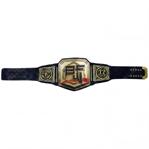 Cinturón de Campeonato de Lucha Libre BFW Personalizado, el Más Vendido, Indiscutible, de Lujo, con Placas Gruesas de Latón y Piedras de Cristal - Product Image 5