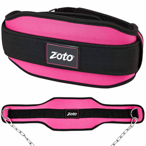 Heavy Duty Dipping <b>Belt</b> for Weighted Pull Ups Dips Nylon <b>Chain</b> <b>Belt</b> for Gym Powerlifting Training Gear - Product Image 1