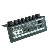 EX 666 12V Stereo Amplifikatör Kartı 50W*2 TPA3116D2 Çift Mikrofon Gitar Girişi USB TF AUX Kayıt Vokal İptal Güç Amplifikatörü Modülü