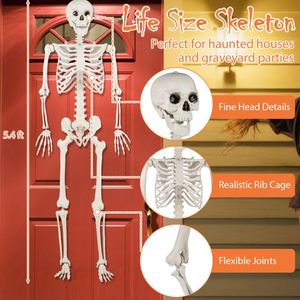 Decorazione Scheletro di Halloween, Grande Prop a Grandezza Naturale di 1,65 m - Product Image 3