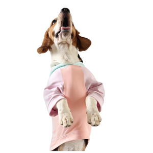Eco-Friendly 100% Cotton Winter <b>Dog</b> <b>Hoodies</b> Solid XL Classics Teddy Design Hand Washable Decorative With Pocket <b>Dog</b> <b>Hoodies</b> - Product Image 4