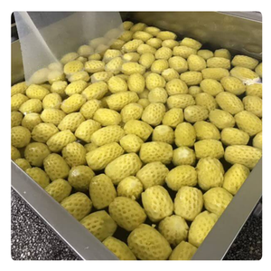 [Nouveauté] Ananas en conserve emballé de manière écologique en gros - Product Image 2