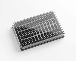 LABYCARE Micro-plaques en verre à puits multiples pour analyses de laboratoire, analyse d'échantillons et tests diagnostiques - Product Image 6