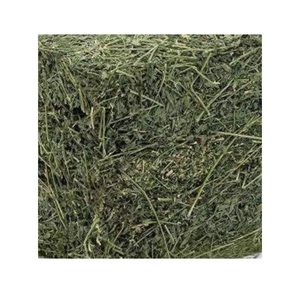 Achetez de l'herbe de timothée de haute qualité pour animaux, herbe de timothée premium avec des feuilles vertes fraîches et prix de gros. - Product Image 1