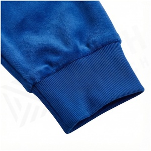 Women Blue <b>Velour</b> Hooded <b>Tracksuit</b> Set Full Sleeve Zipper Front Casual Joggers Solid Color Autumn Wear - Product Image 6