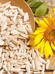 Graines de tournesol séchées (Helianthus Annuus) - Marque CRADLE of LIFE - Prêtes à l'emploi - Durée de conservation de 24 mois - Product Image 2