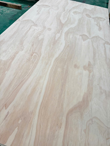 High-quality Eco-Friendly Model 9-12-15-18mm E0 Pine Plywood Water Resistant for Bedroom Living Room Hotel Furniture - Product Image 5