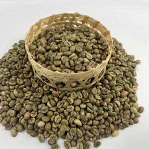 Café Robusta S18 en Grains Verts Nettoyés au Vietnam, Marque Privée, Vente en Gros, B2B - Product Image 4