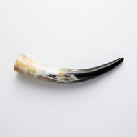 Mug en corne véritable fait main, personnalisé, OEM, ODM, avec poignée, style médiéval viking, DECORYUG