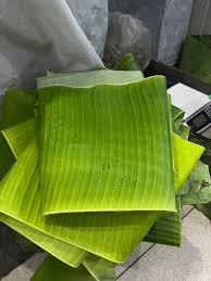 ใบกล้วยแช่แข็ง IQF คุณภาพพรีเมียม สำหรับห่ออาหาร บรรจุภัณฑ์สุญญากาศ เกรด A น้ำหนัก 1 กก. คุณภาพส่งออก จากเวียดนาม - Product Image 5