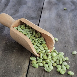 Café Vert Robusta Spécialité du Vietnam Certifié ISO 22000 Taille 18 Grade G1/G2 Noir Brisure 0,1% Haute Qualité Vente en Gros - Product Image 1