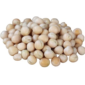 Habas Blancas: Fuente Premium de Proteína para Procesamiento de Ingredientes Alimenticios y Preparación Nutricional Rica, con Soporte para Exportación - Product Image 2