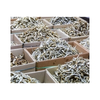 Anchoas Secas de Alta Calidad, Snack Marino Salado para Cubrir con Picantes Aderezos y Fuente Rica en Calcio, Mariscos de Primera Calidad
