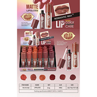 Gloss à lèvres mat longue tenue, non desséchant, effet boue-poudre, rouge à lèvres liquide pour maquillage quotidien, vente en gros