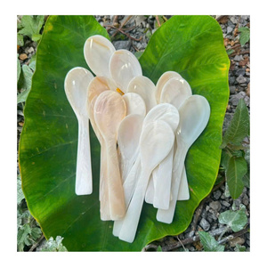 ช้อนคาเวียร์เปลือกหอยมุกธรรมชาติพรีเมียม สำหรับร้านอาหารหรู - Product Image 4