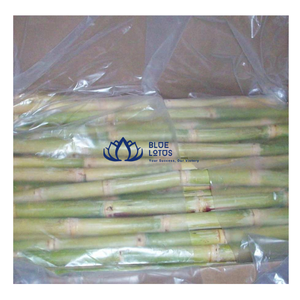 Bâtonnets de canne à sucre bio surgelés en vrac et tiges de canne à sucre pour boissons fraîches et jus – Approvisionnement pour bars à jus de la ferme Blue Lotus – Vente chaude - Product Image 1