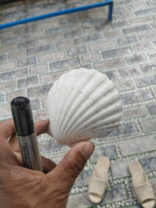 Juego de Decoración de Conchas Marinas Naturales Ecológicas Hechas a Mano, Decoración para el Hogar, Manualidades, Recuerdos para Fiestas, Loto Azul, MÁS VENDIDO - Product Image 6