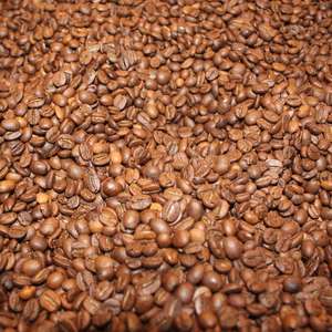 Granos de café Robusta a granel para una calidad superior, garantizando un sabor tostado intenso y una frescura excelente para los compradores. - Product Image 3