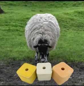 เดลี่บูสท์ เกลือหิมาลัย ออร์แกนิค บล็อกอัดแน่น 2 กก. บำรุงสัตว์ ช่วยเสริมสร้างความแข็งแรงของกระดูก เพิ่มผลผลิตนม บำรุงการเจริญเติบโต - Product Image 5