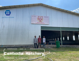 Hệ thống nuôi trồng thủy sản tuần hoàn RAS thiết bị nuôi tôm càng xanh trong thiết kế hệ thống nuôi cá chất lượng cao - Product Image 3