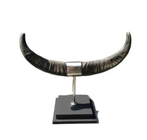 Sculpture décorative électrique en corne de buffle avec support en acier, pièce d'accent unique de style moderne et rustique pour les mariages et les maisons - Product Image 6