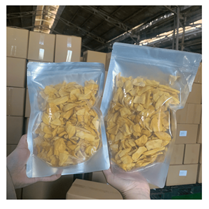 Jackfruit séché, conditionné en sachets de 100 grammes, issu de tranches de jackfruit naturelles, idéal pour les collations, les garnitures de desserts et les marchés de détail. - Product Image 1