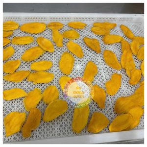 Oferta Especial de Empaque: Rodajas de Mango Seco Suave de Fabricante Vietnamita - Precio Más Bajo para Mango Deshidratado - Caryln - Product Image 4