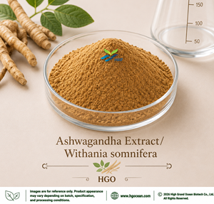 Extrait d'Ashwagandha (Withania somnifera (L.) Dunal) fourni directement par l'usine HGO, rapports d'extraction 4:1, 5:1, 10:1, 20:1, 100:1, 200:1 - Product Image 1
