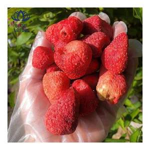 FRUTA DE FRESA DESHIDRATADA DE CALIDAD GARANTIZADA 2026, en PIEZAS, para Consumo como Snack y Decoración de Postres - Product Image 4