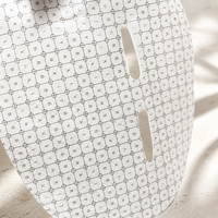 Masque facial en soie Y301 au graphène compatible RF, substrat 25g, inspiré du Thermage, en fibre végétale conductrice, masque sec en feuille
