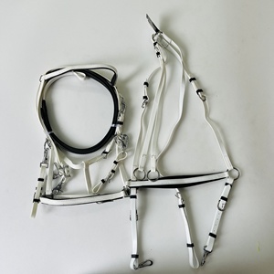 Bridon d'endurance avec plastron, rembourrage importé, quincaillerie en acier inoxydable, équipement d'équitation réglable - Product Image 1