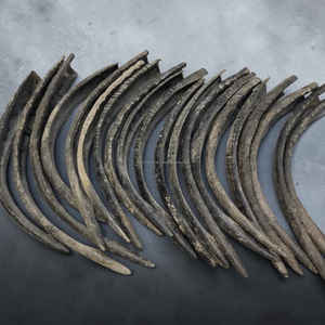 Élégante pièce en corne de buffle moderne et écologique, avec embout, fabriquée à la main, longue (24-27 pouces) pour la vie quotidienne, au prix de gros - Product Image 5