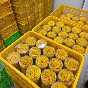 มะม่วงอบแห้งธรรมชาติ เนื้อนุ่ม เคี้ยวเพลิน ผลไม้เมืองร้อน ขายส่ง มีบริการติดฉลากส่วนตัว มีมะม่วงอบแห้งแบบแผ่น ปราศจากกำมะถัน ราคาประหยัด - Product Image 1