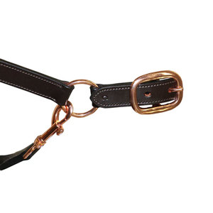 Harnais pour cheval noir avec motif de crânes, léger et anti-UV, sangles réglables pour l'équitation - Product Image 3