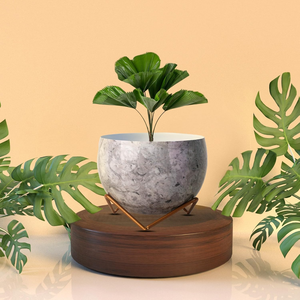 Maceta de Metal Gris con Soporte de Hierro, Maceta Decorativa Contemporánea para Jardín Interior, Sala de Estar, Dormitorio, Oficina, Balcón - Product Image 6
