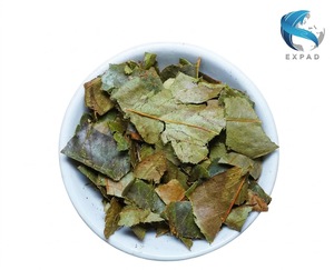 Fast <b>Moving</b> Vietnam Soursop Slimming Herbal Tea with Competitive Wholesale Price Rich Aroma 25 Tea Bags Per <b>Box</b> - Product Image 6