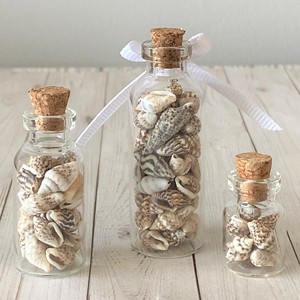 Decoración Oceánica, Botellas con Conchas Marinas, Precio Económico, Coleccionables, Botellas Rellenas de Conchas Marinas Naturales - Product Image 1