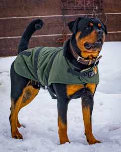 Manteau matelassé pour chien Tough Tack, coupe-vent, couverture pour animaux de compagnie, sangle réglable, veste chaude pour chiot, DC 100V pour les promenades en extérieur - Product Image 1