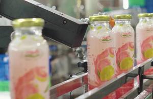 Bebida de Jugo de Naranja Natural, 300 ml, en Botella de Vidrio, Jugo de Frutas Tropicales, Fabricante de Bebidas Nawon, Exportación, Mejor Precio - Product Image 4