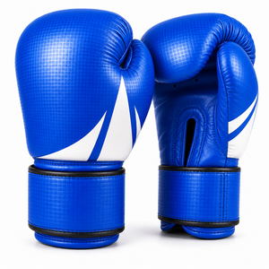 Équipement de boxe de haute qualité - Product Image 6