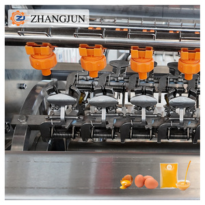 Công SuấT 35000 toàn bộ dây chuyền sản xuất chất lỏng trứng cho máy móc chế biến thực phẩm - Product Image 6