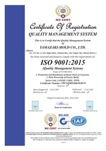 Molde de Inyección de Plástico de Silicona/Goma Antiestática de Alta Precisión con Certificación ISO9001 y Servicio OEM/ODM - Product Image 6